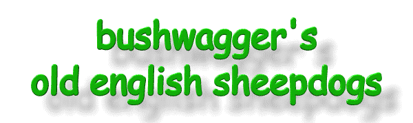 bushwagger's old english sheepdogs