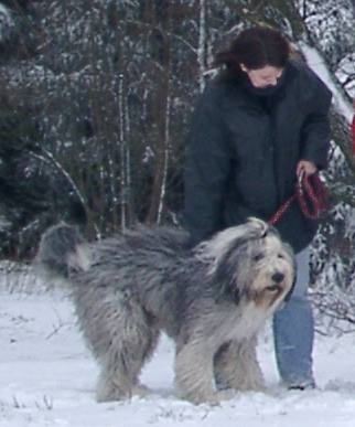 Admiral von Schneider