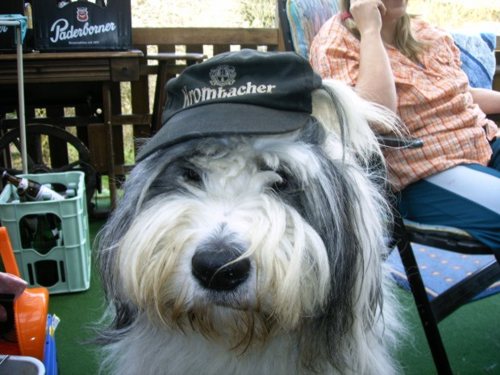 Admiral von Schneider