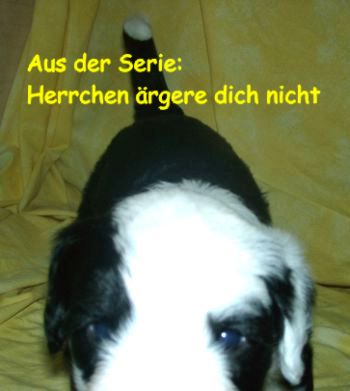 Admiral von Schneider