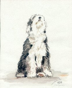 Aquarell "Curly"