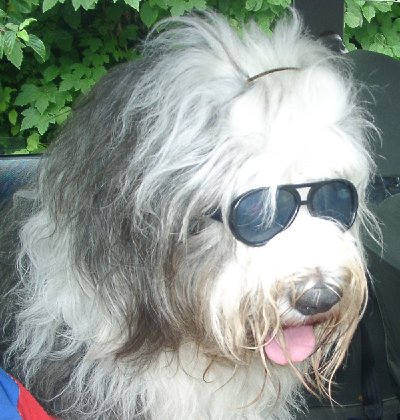 Is cool, Man