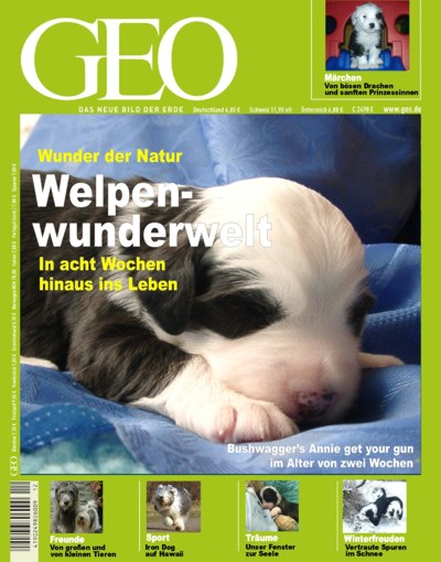 Anklicken zum Vergr��ern