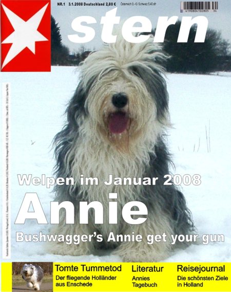 Anklicken zum Vergr��ern