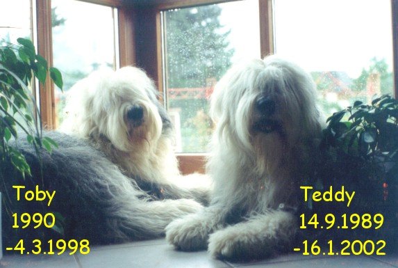 Zu den Seiten von Teddy und Toby